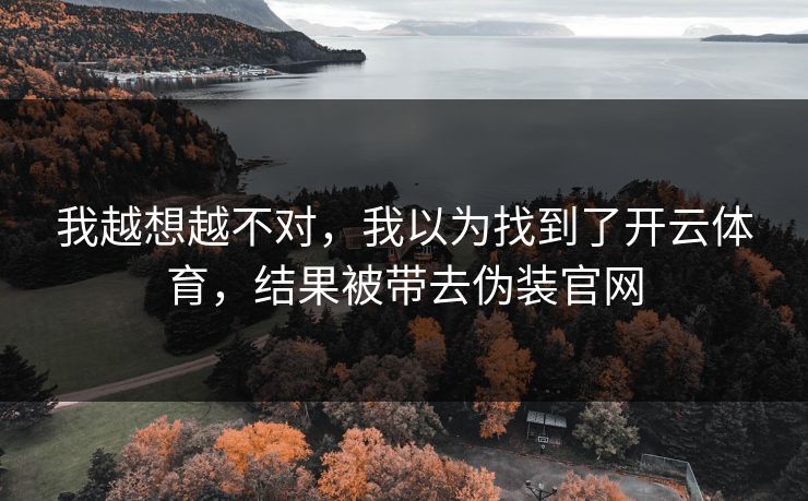 我越想越不对，我以为找到了开云体育，结果被带去伪装官网