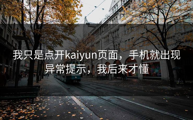 我只是点开kaiyun页面，手机就出现异常提示，我后来才懂