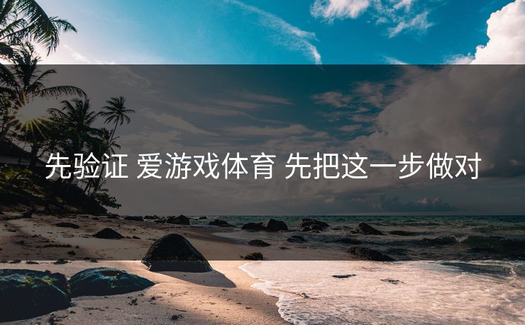 先验证 爱游戏体育 先把这一步做对